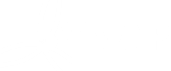 SYNAP